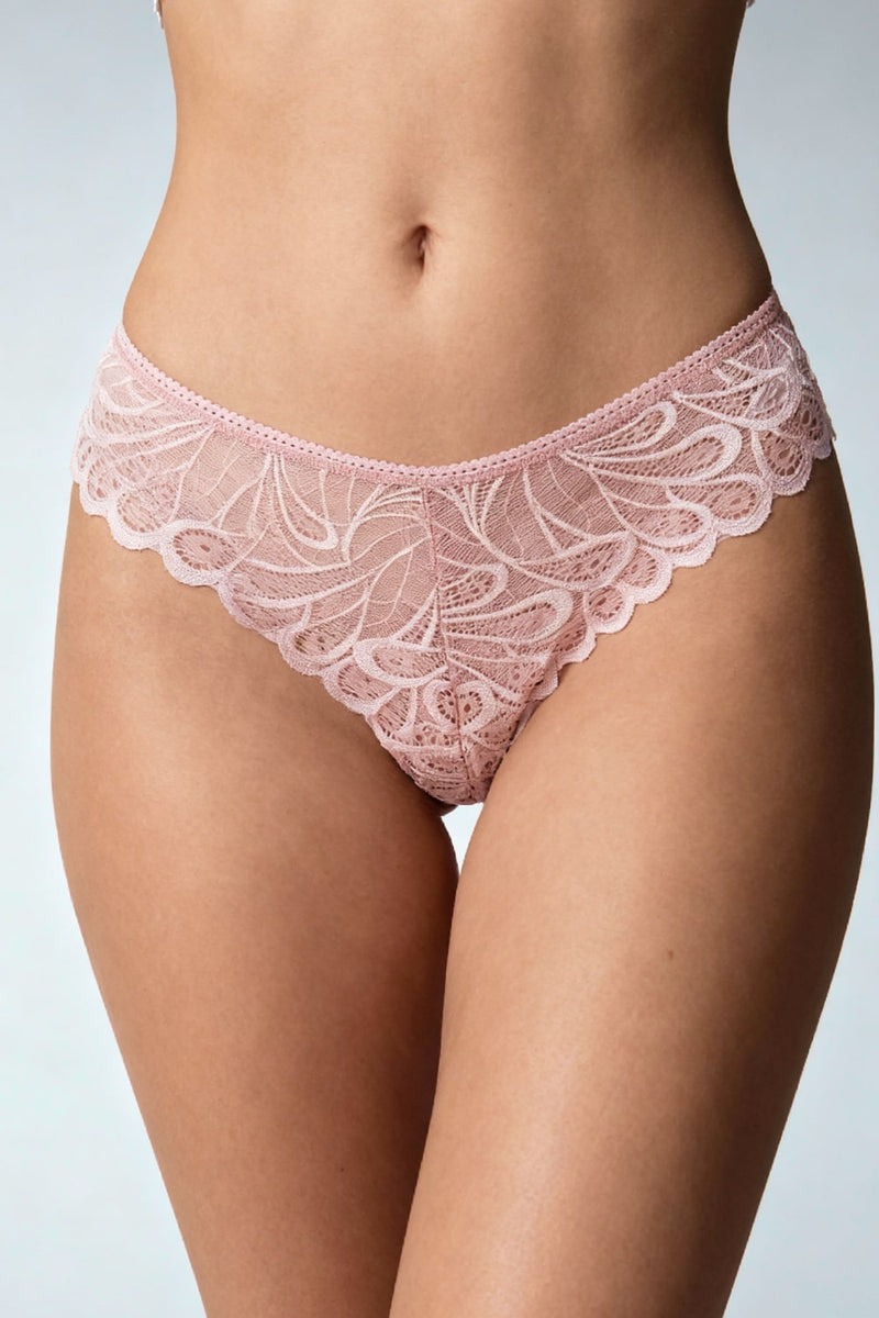 Alba Brief