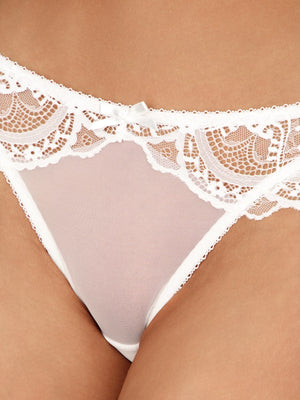 Charm Brief