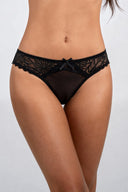 Ariana Brief