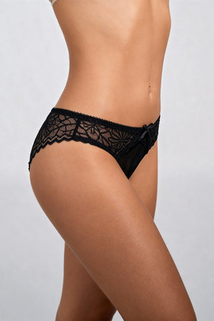 Ariana Brief